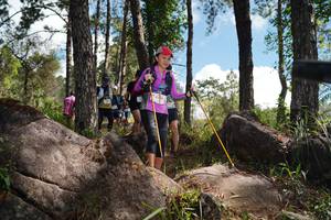 BIB: 
                            <button type="button" onclick="openModal(18942976)" class="btn btn-primary btn-sm float-right btn-popup" data-toggle="modal" data-target=".modal-high-quality">
                        <i class="fas fa-shopping-cart"></i> Add to Cart
                    </button>
                                            <button type="button" onclick="isThisMe(18942976, true)" class="btn btn-success btn-sm float-right btn-popup btn-isme hidden" data-toggle="tooltip" data-placement="bottom" title="นี่คือรูปของคุณใช่ไหม คลิกที่นี่เพื่อเอาเข้าอัลบั้ม">
                        <i class="fas fa-plus"></i> Add to album
                    </button>
                    <button type="button" onclick="isThisMe(18942976, false)" class="btn btn-warning btn-sm float-right btn-popup btn-isnotme hidden">
                        <i class="fas fa-ban"></i> Remove from album
                    </button>